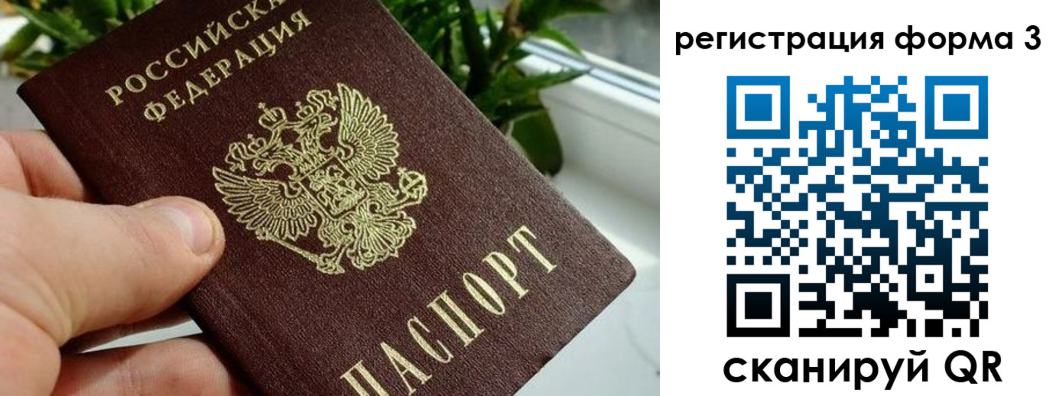 прописка штамп в Дедовске